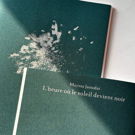 L'heure où le soleil devient noir
