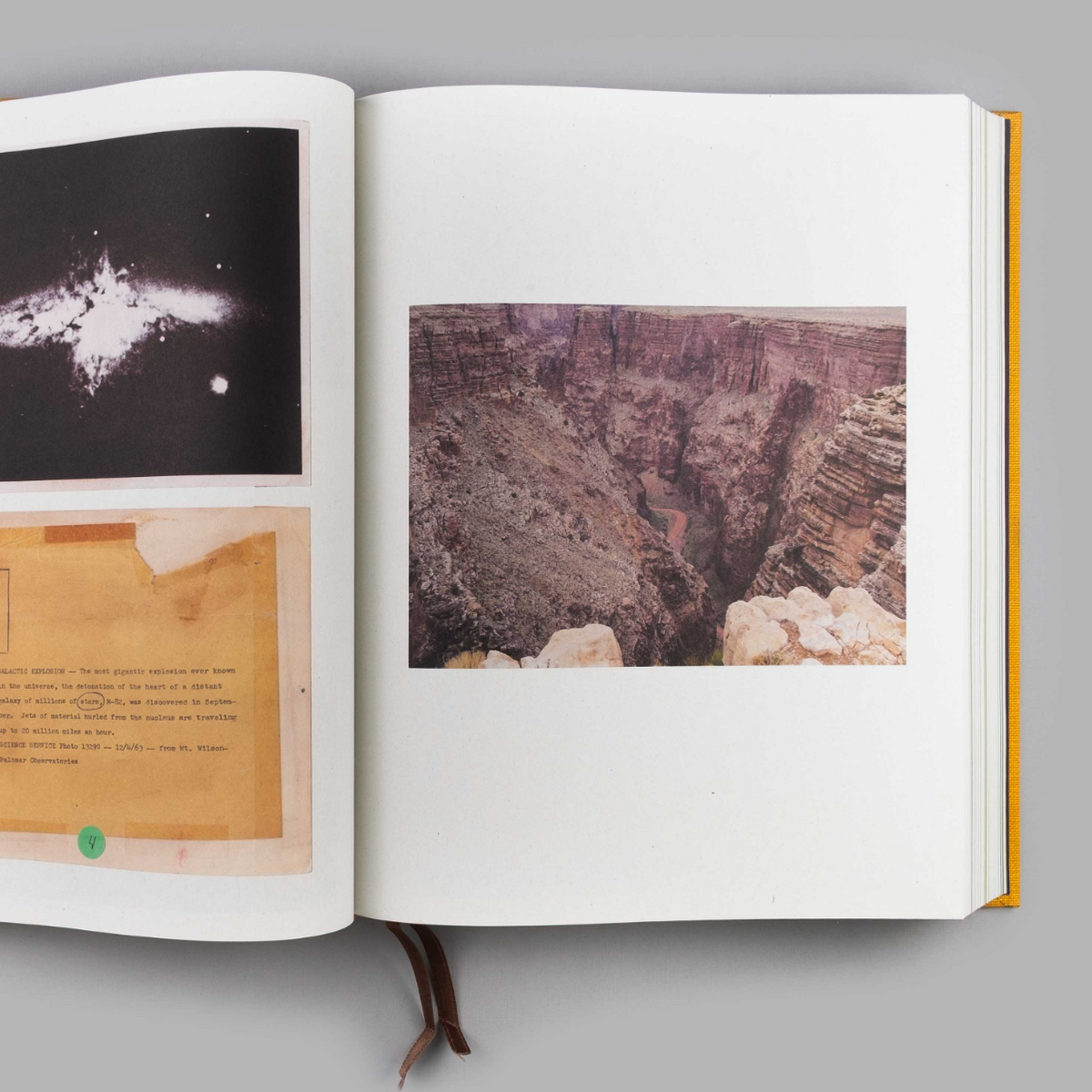 The Wonder Way Project