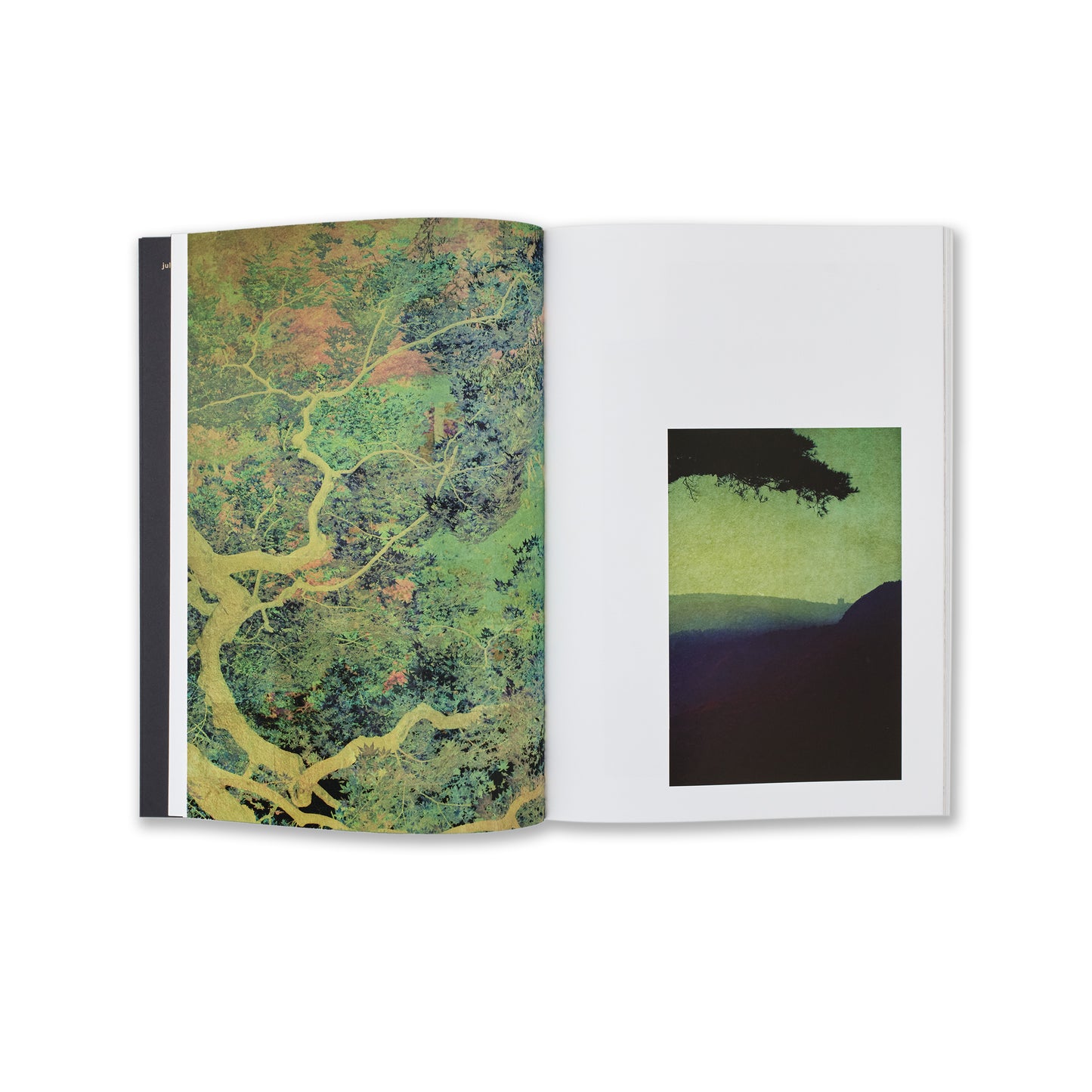 Albarran Cabrera FenEtres sur l'Insolite