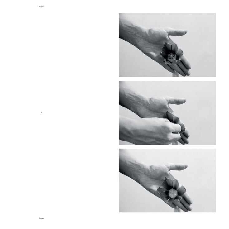 Helmut Schweizer Handlungen/ Actions