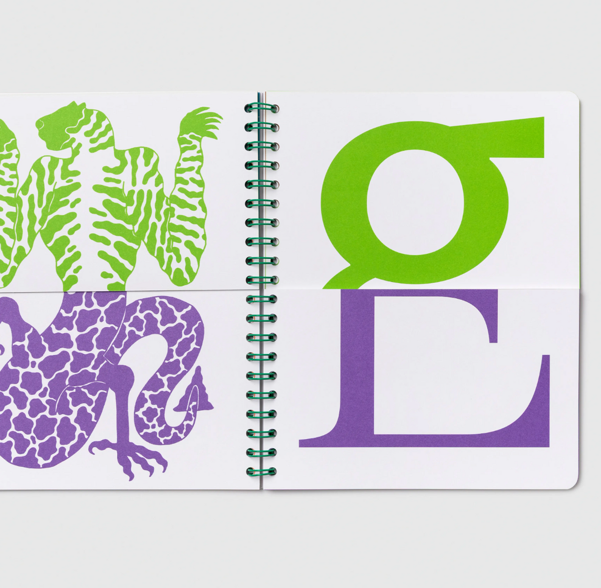 The Arizona Type Specimen 2