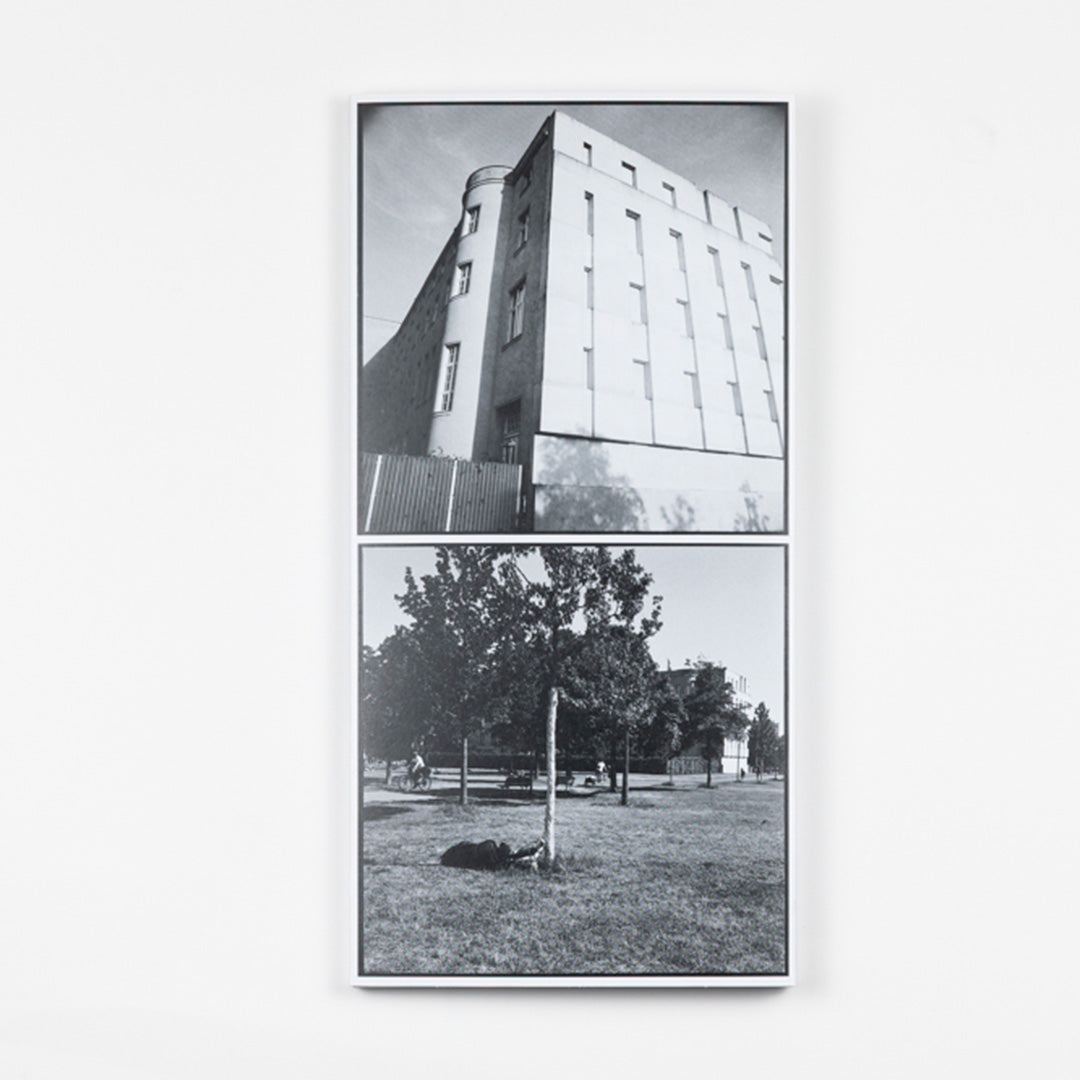 The Swiss Embassy in Berlin and Its Surroundings: A Building by Diener & Diener