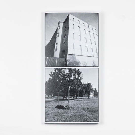 The Swiss Embassy in Berlin and Its Surroundings: A Building by Diener & Diener