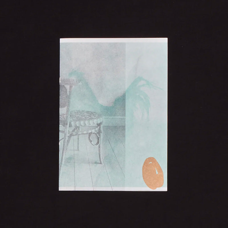 Hato Press Zine no.48 - Reflection