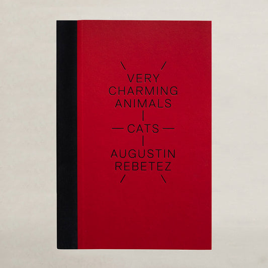 Very charming animals: cats