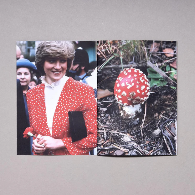 Princess Diana as Mushrooms