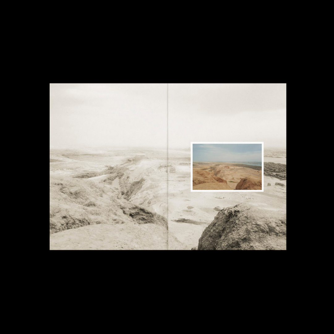 What I Saw, What Saw Me