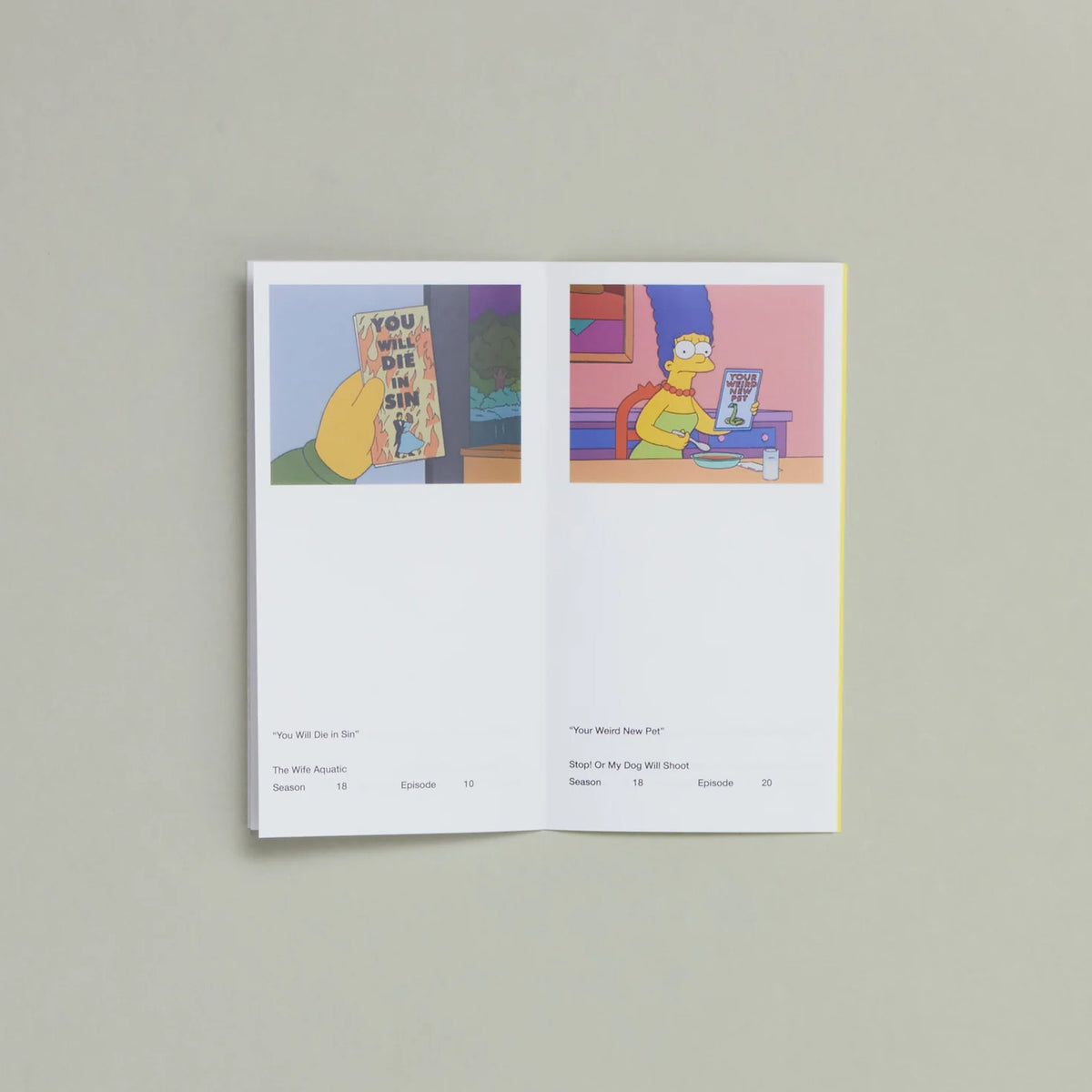 So You've Purchased A Simpsons Pamphlet Zine