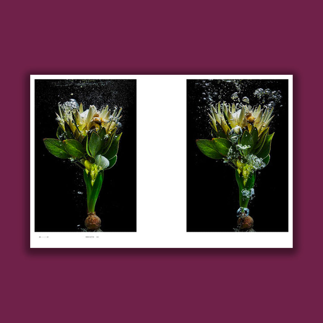 Encyclopedia of Flowers VI