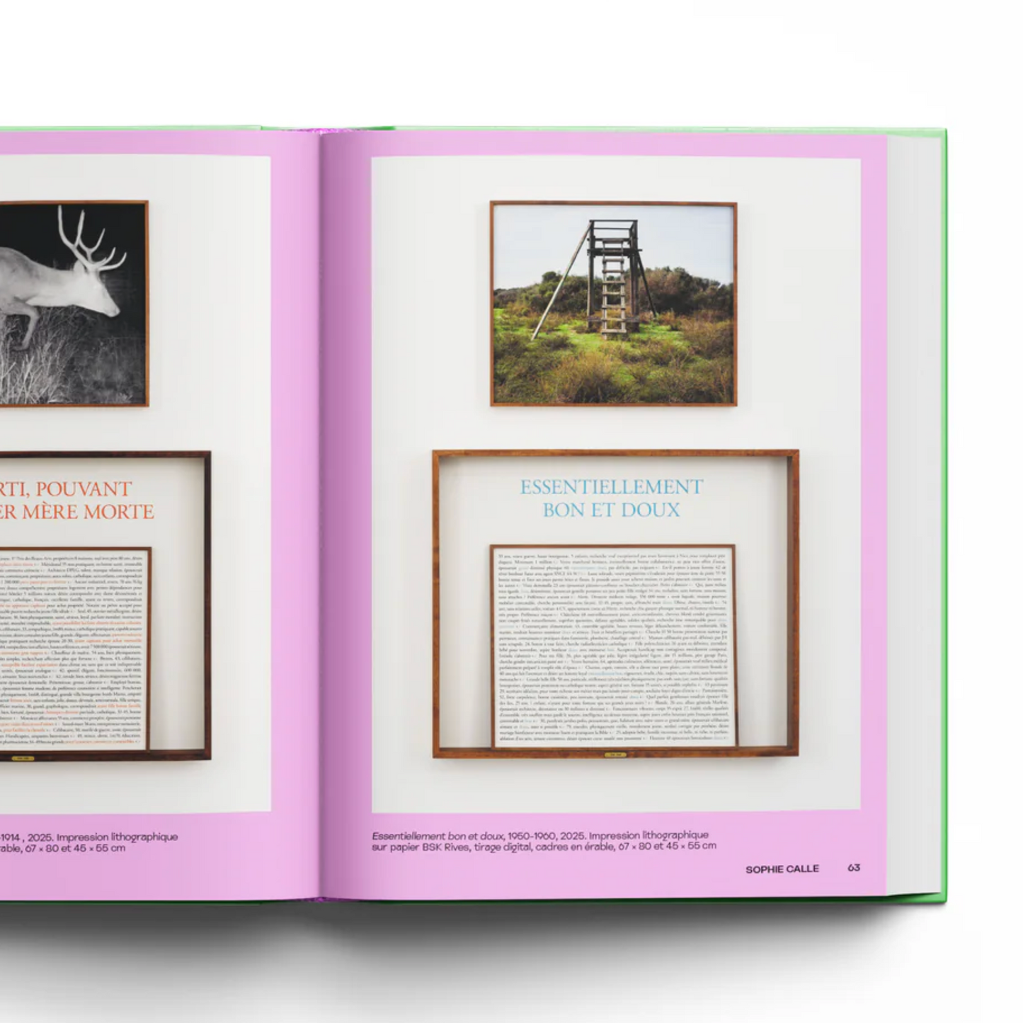 Moi et les Autres Regards d Artistes Sur Nos Vies en Ligne