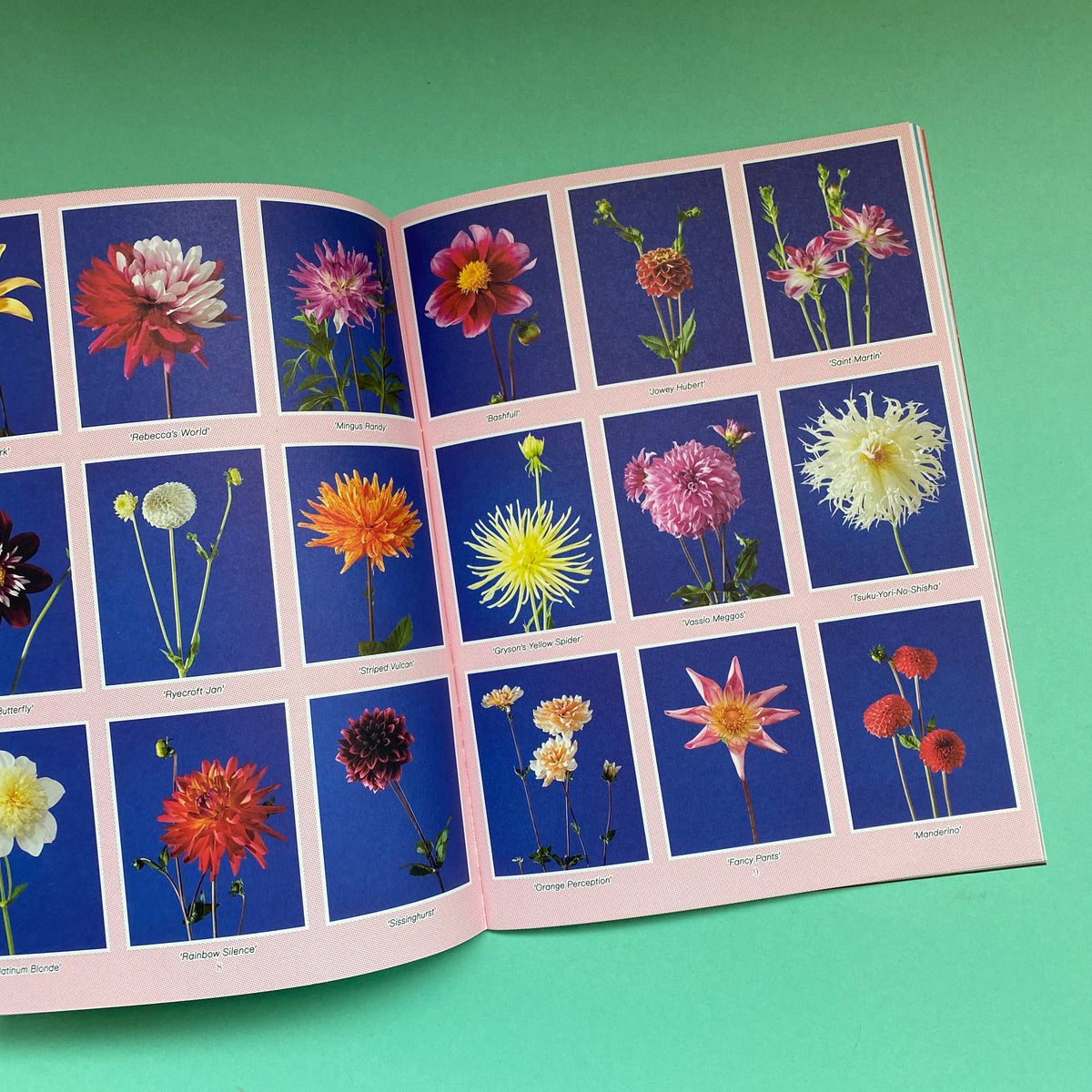Pleasant Place 9: Dahlia