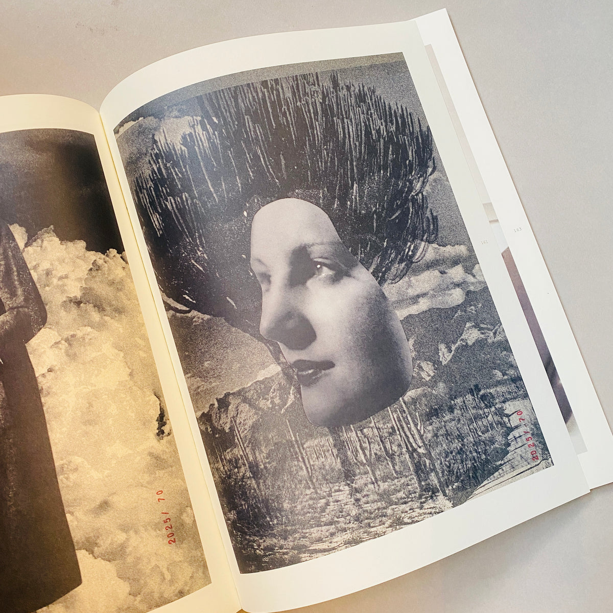 Apophenia III : In Medias Res