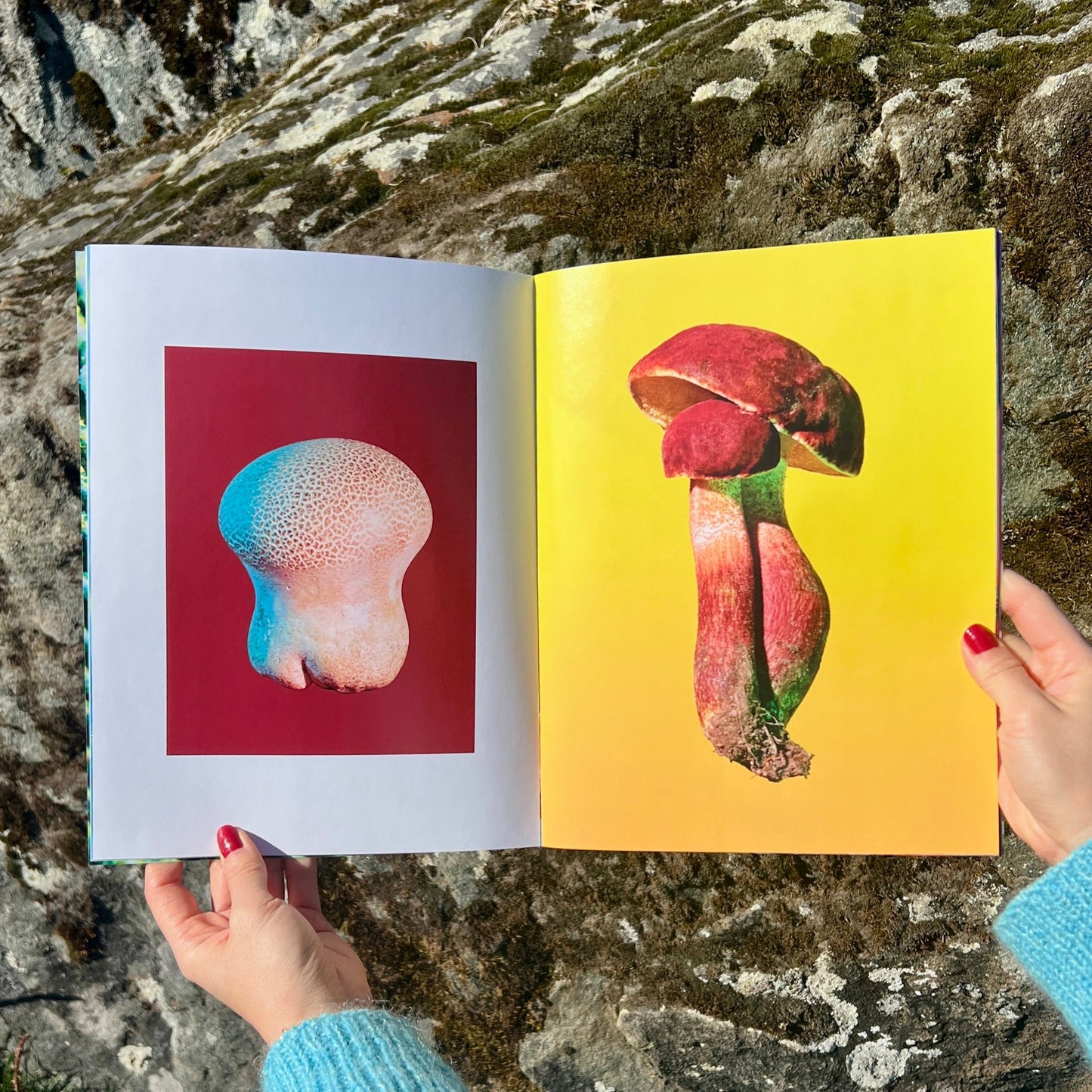 Mushrooms and Friends 3 (2nd Printing)