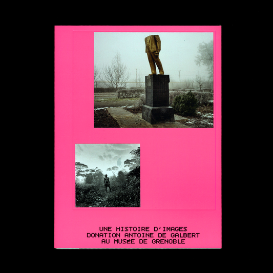 A story of images, donation of Antoine de Galbert to the Grenoble museum