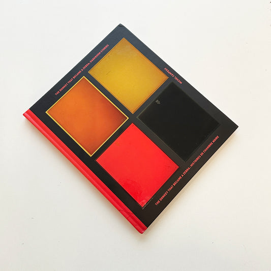 The Donkey that became a zebra