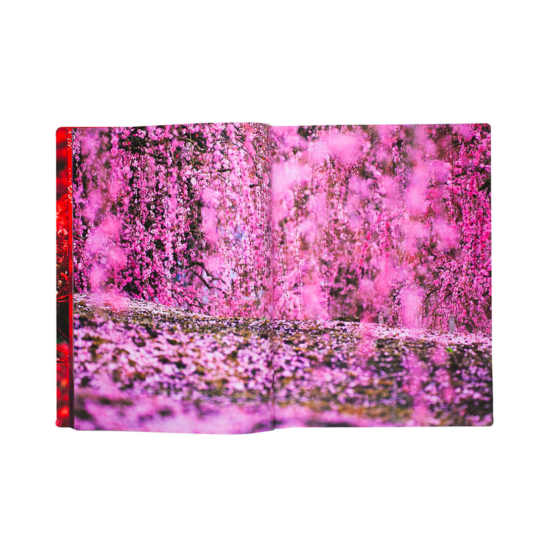 Eternity in a Moment Vol 2