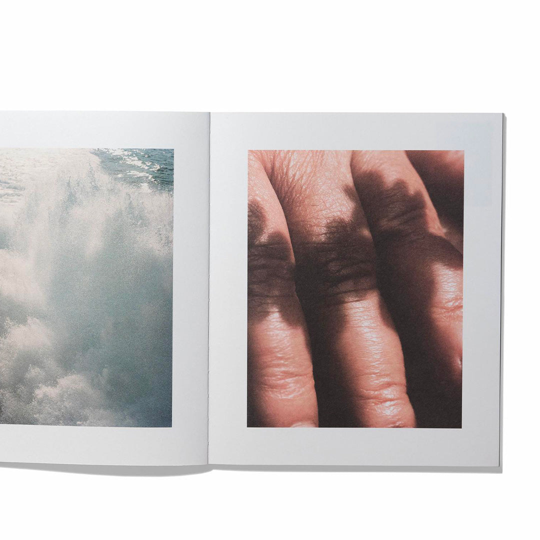 Anatomy of an oyster