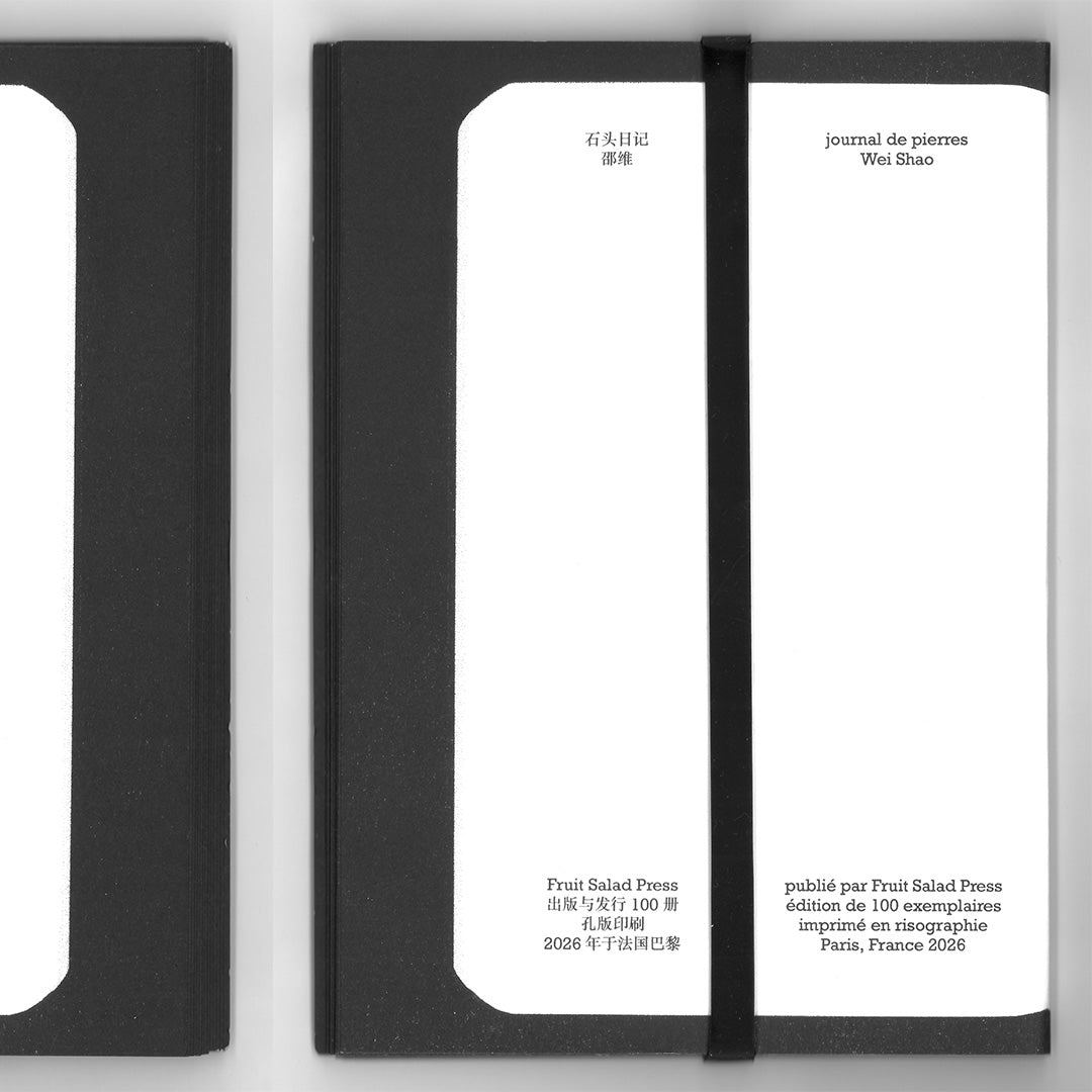 Journal de pierres