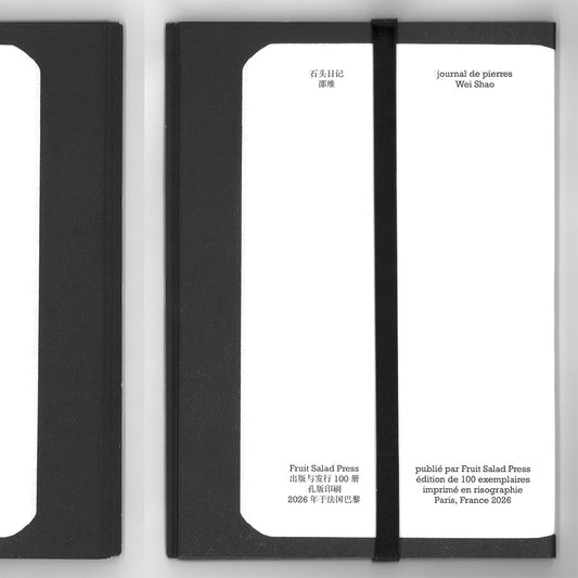 Journal de pierres