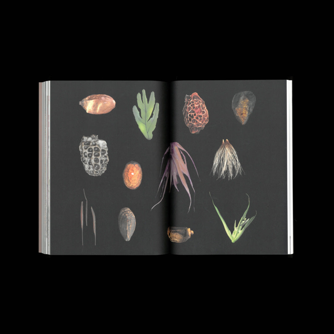 SEEDS Reclaiming Roots, Sowing Futures