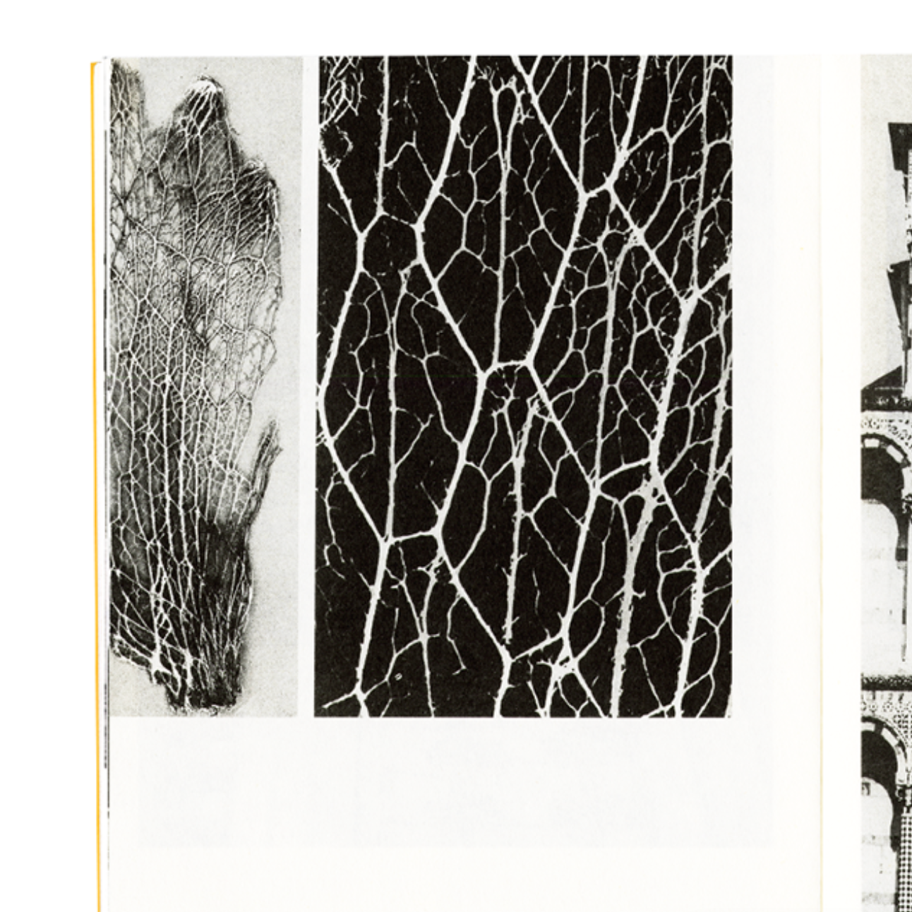 Bruno Munari Design and Visual Communication