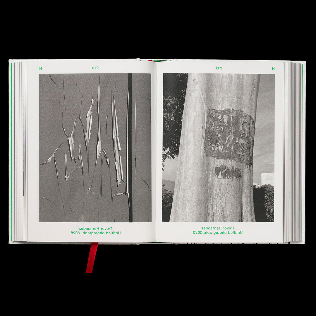 Dictionary of the Illegible