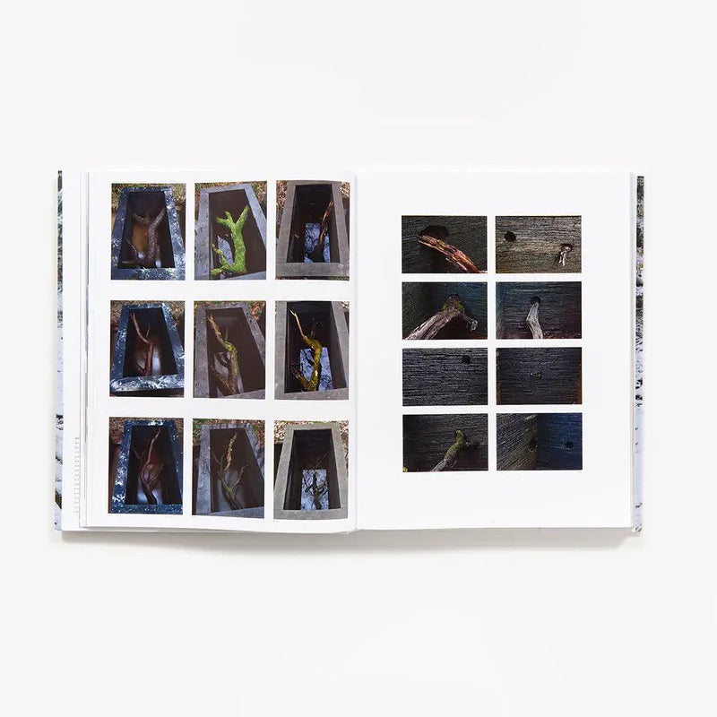 Andy Goldsworthy: Projects