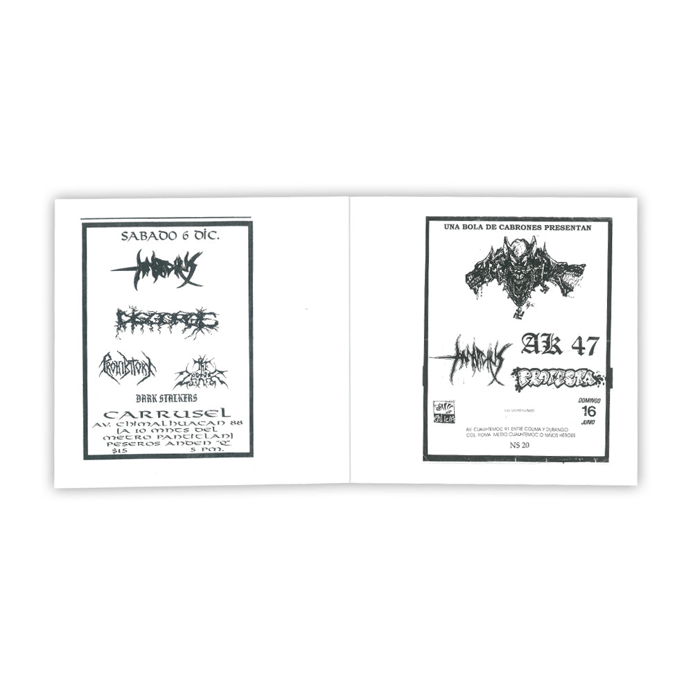 Punk Rock Mexican Flyers 1990 - 2000