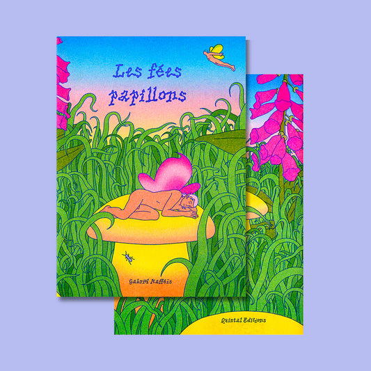 The Butterfly Fairies