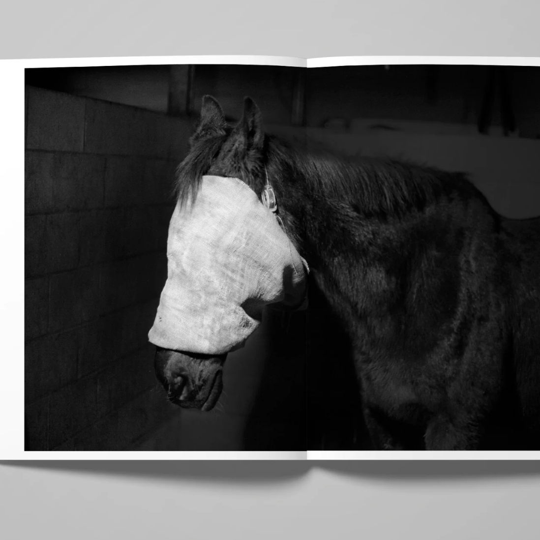 Double Reality Tom Callemin