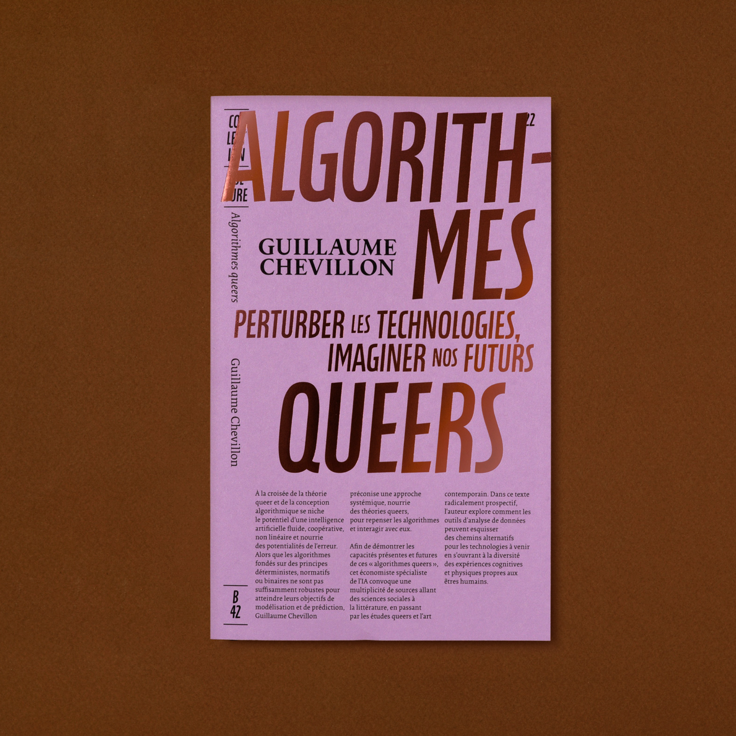 Algorithmes queers