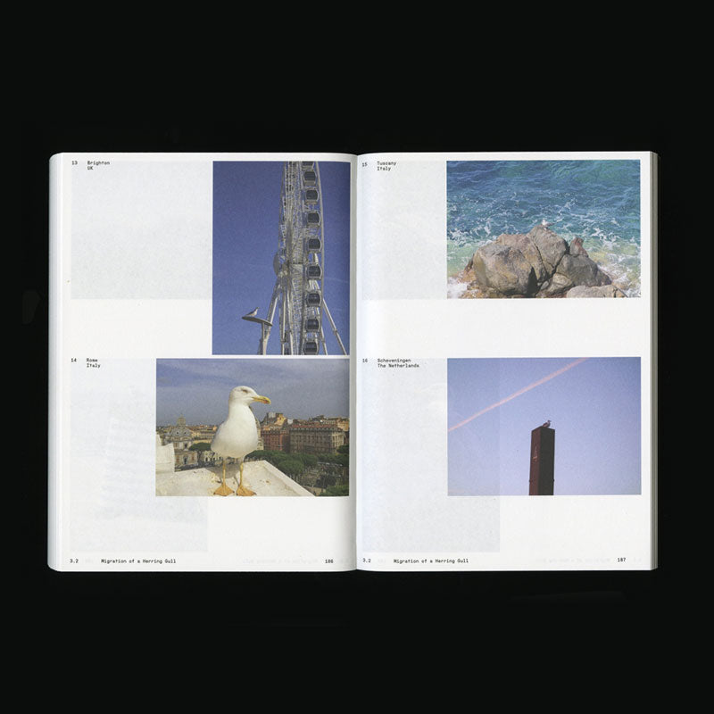 Ornithology (new edition)