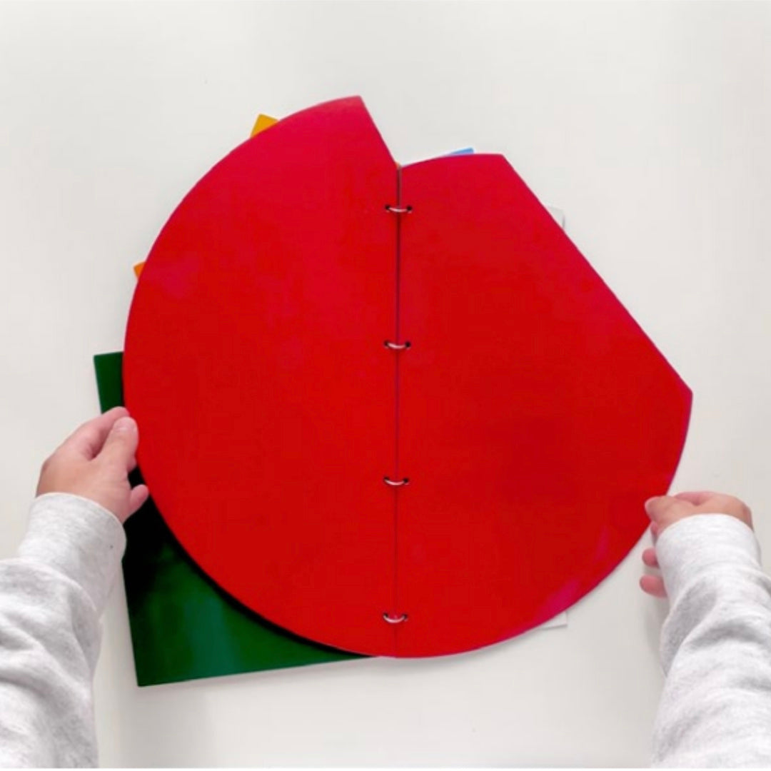 8 pieces of paper, 8 shapes, and 8 colors