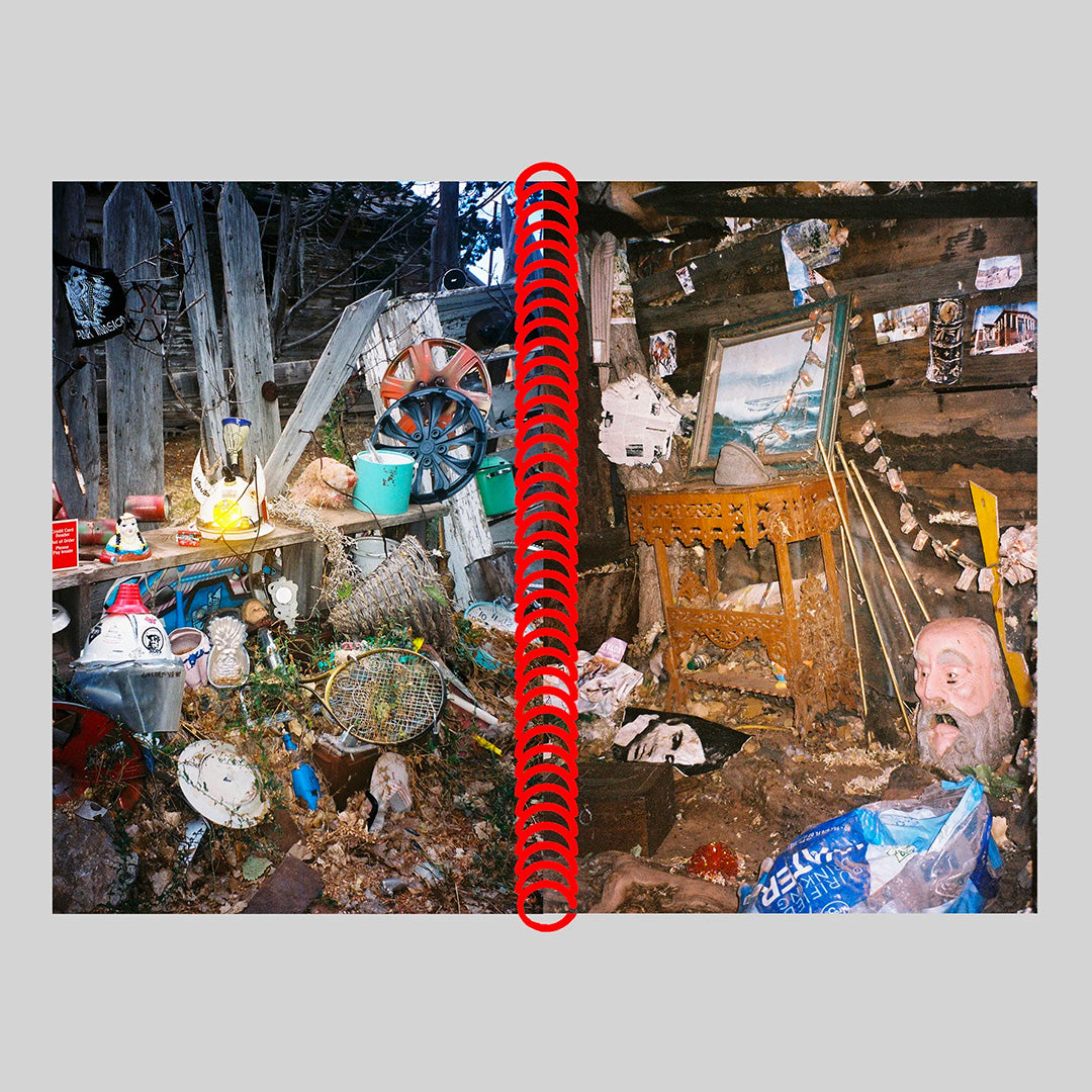 DESERT GRILL DOLLAR TREE FOSSILS TRAP