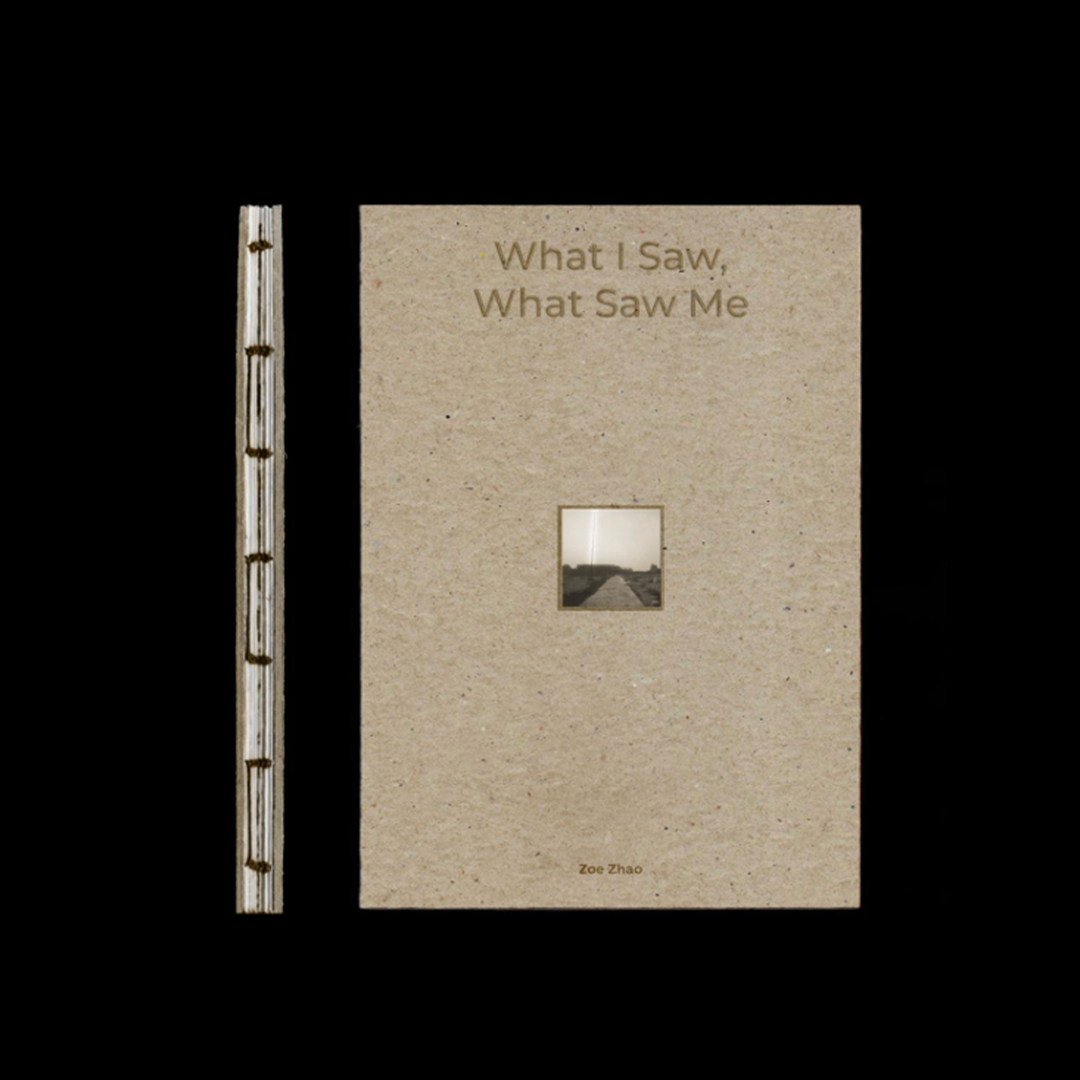 What I Saw, What Saw Me