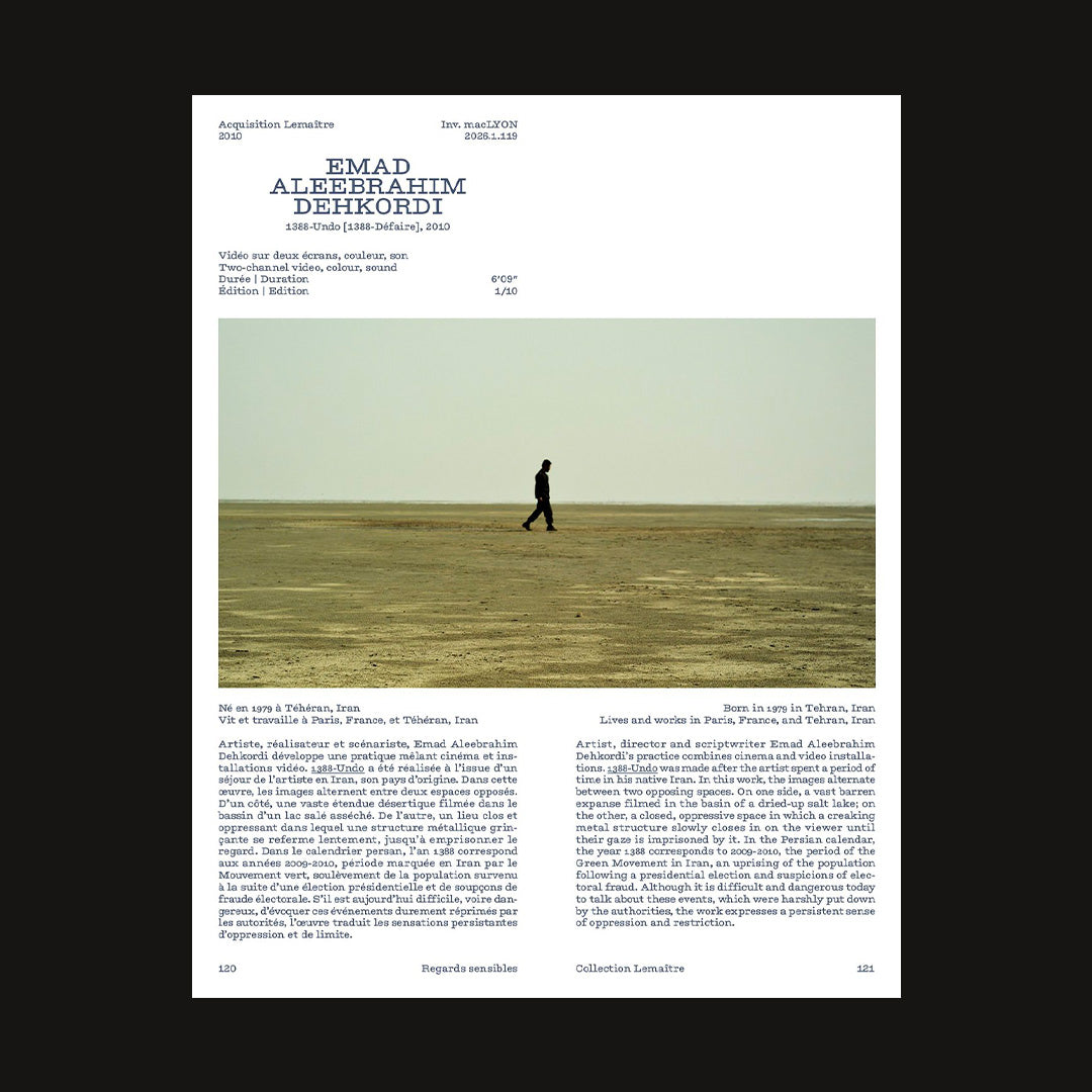 Regards sensibles. Collection Lemaitre 1996-2026
