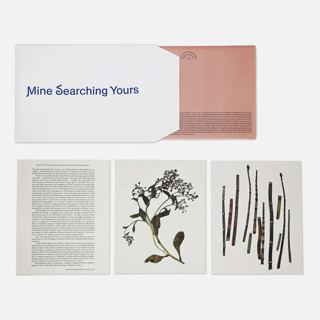 Mine searching yours