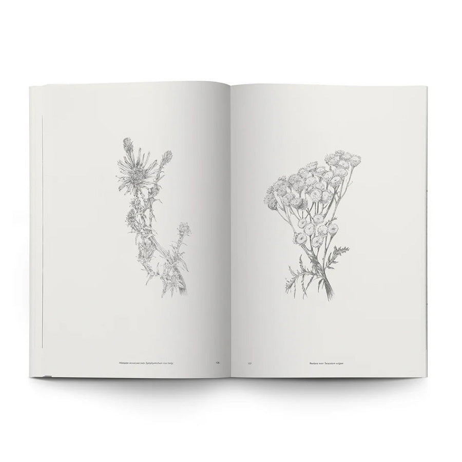 Electronic Flora