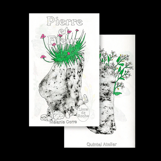 Pierre et fleur - Zine