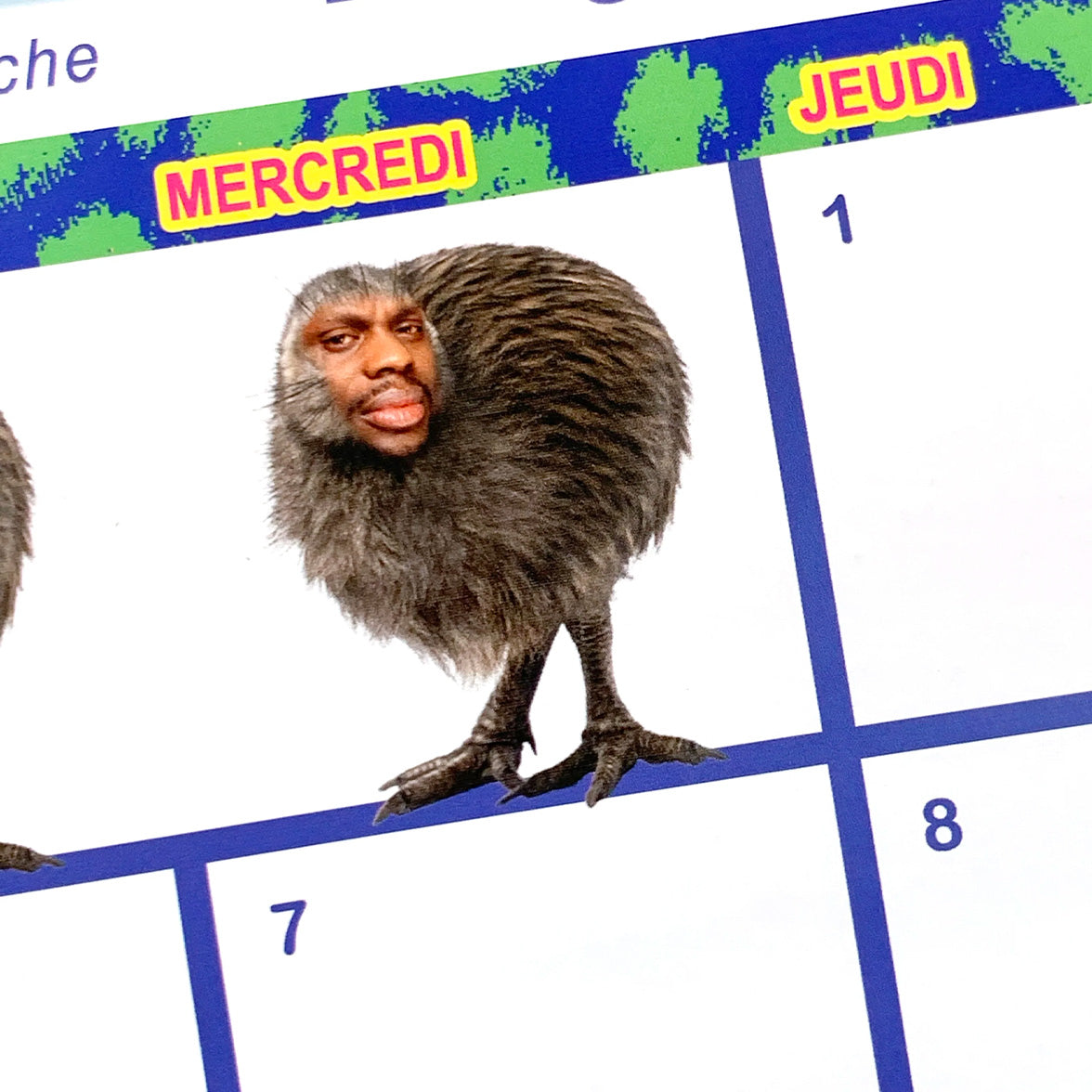 Calendrier 2026 - 365 jours sauvages