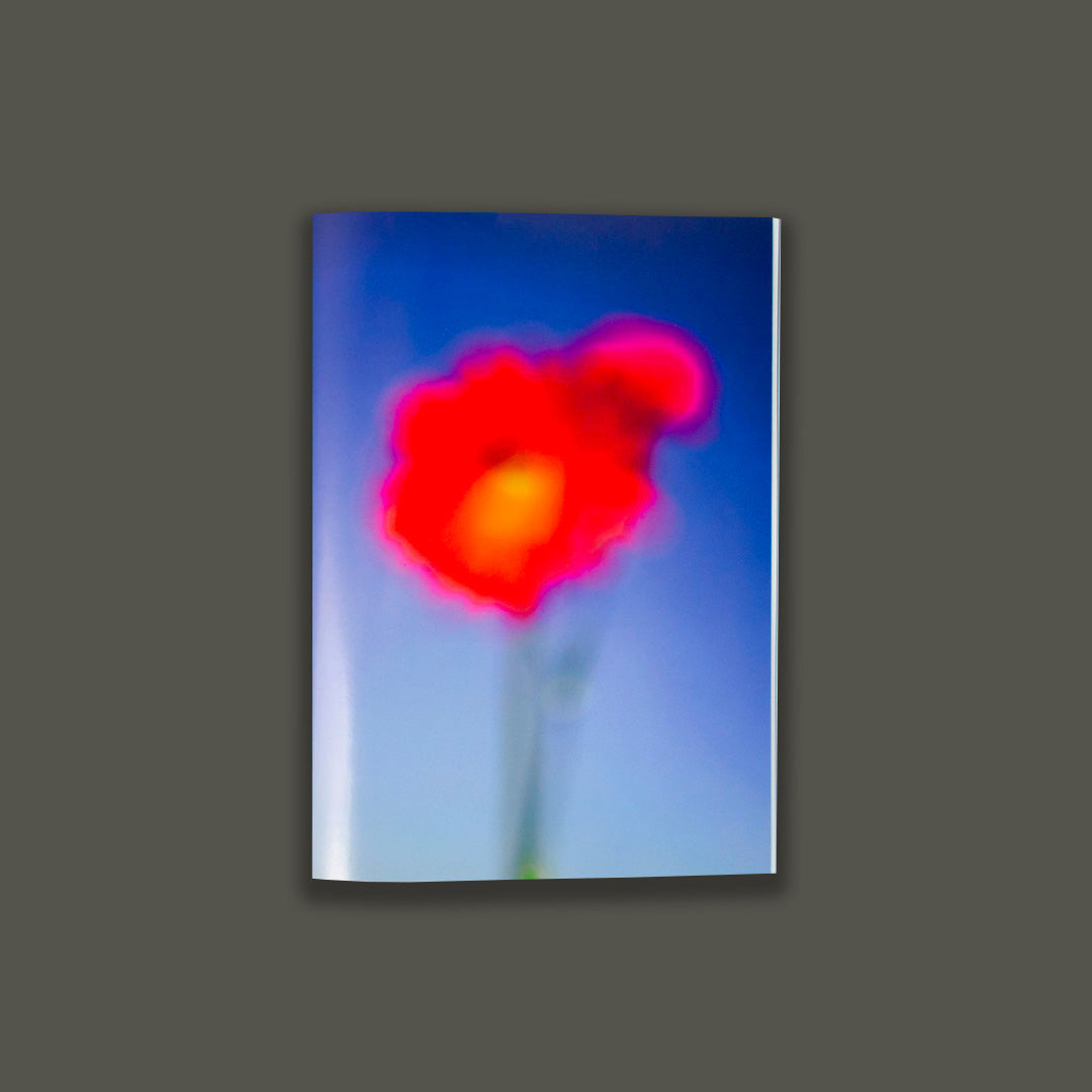 It's a very beautiful day