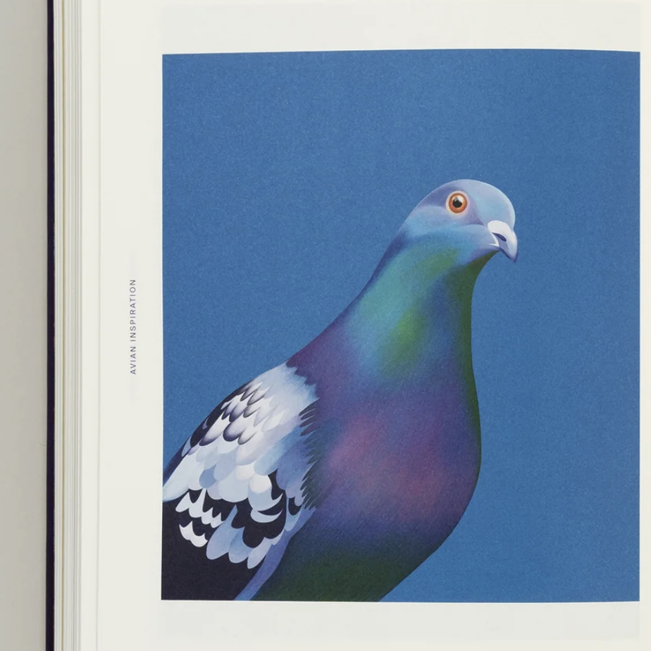 Avian Inspiration Art and Design Inspired by Birds /anglais