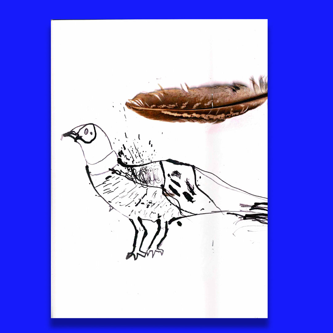 29 oiseaux dessinés avec leurs plumes trouvées