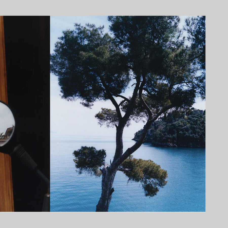 LIGURIA: Recipes & Wanderings