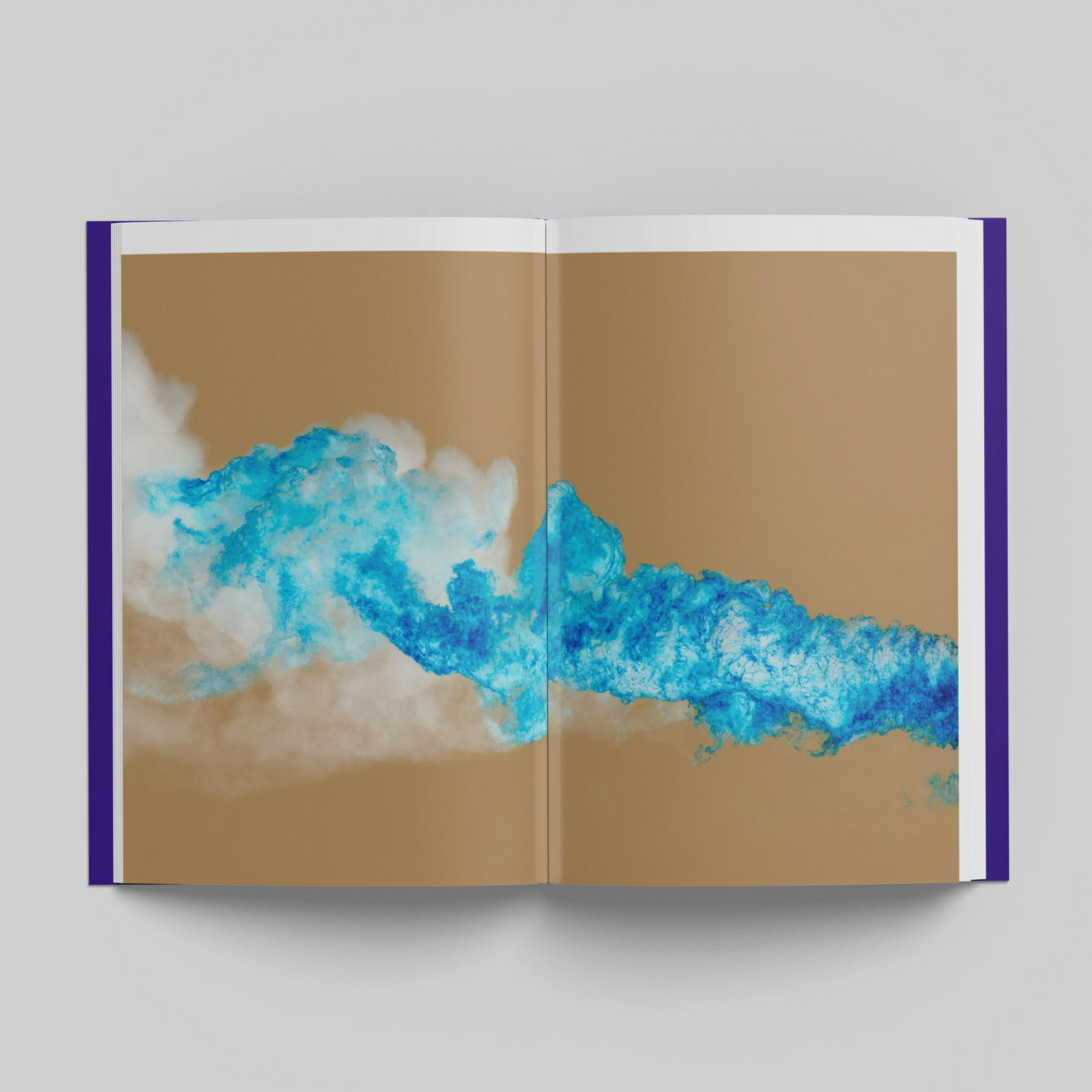 La terre n'existe pas - copie signé