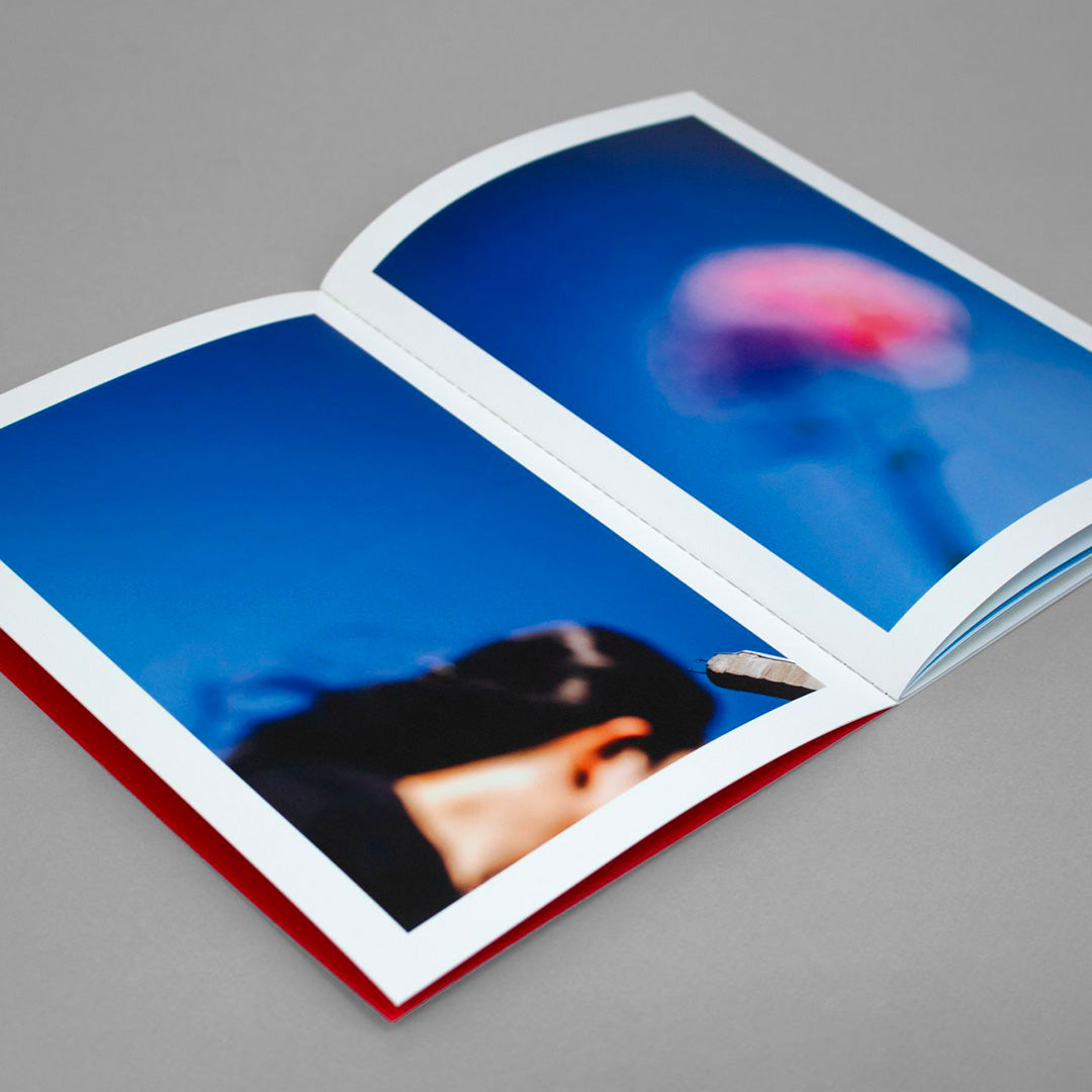 It's a very beautiful day