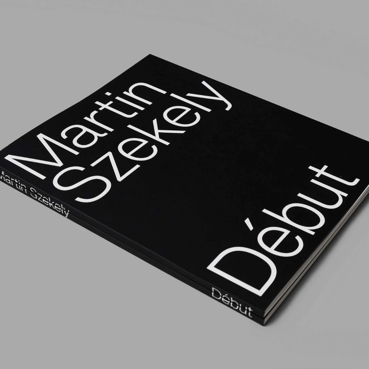 Martin Szekely Début