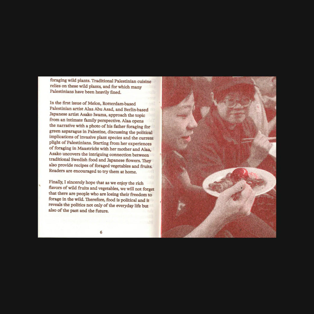 Melon #1 : On foraging in Palestine, Japan & Maastricht