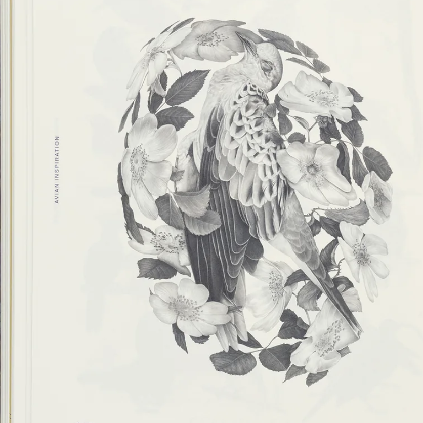 Avian Inspiration Art and Design Inspired by Birds /anglais