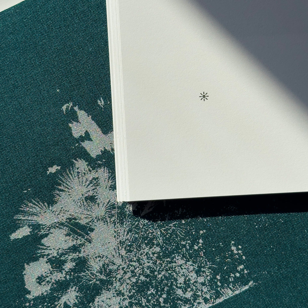 L'heure où le soleil devient noir